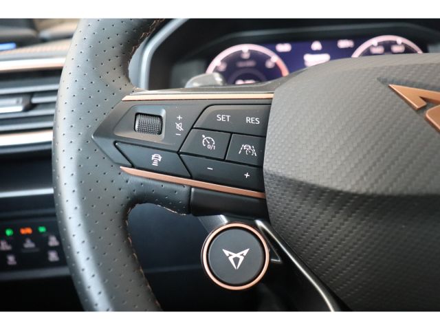 CUPRA Formentor 1.4 e-Hybrid 245PK VZ Black Edition